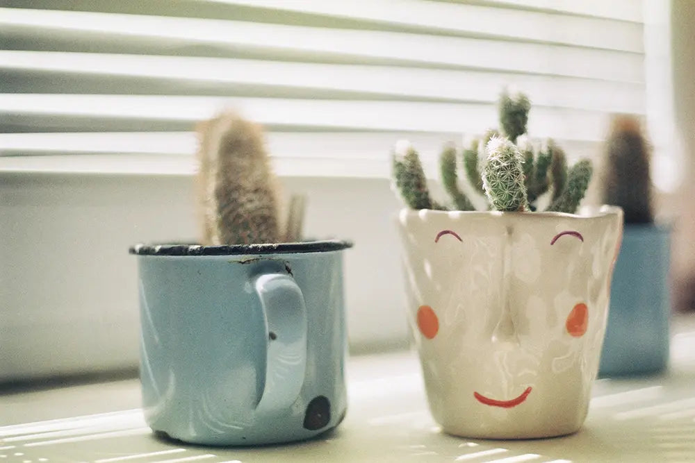 tasse a café bleu a cote dun pot ceramique avec cactus