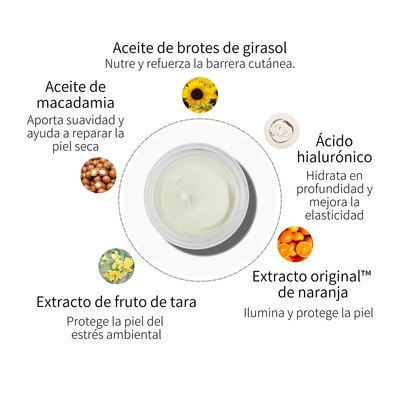 Urban Shield Face Cream