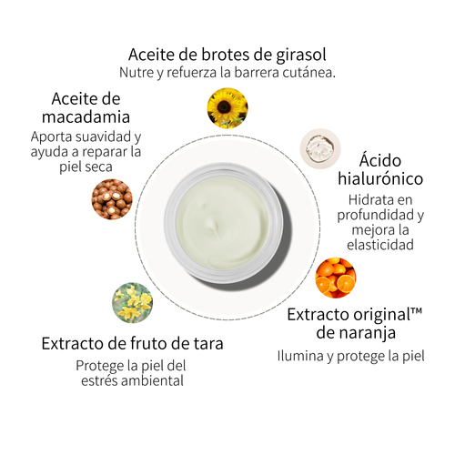 Urban Shield Face Cream