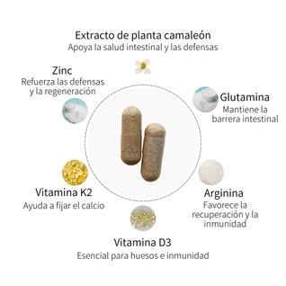 Immunity Complex